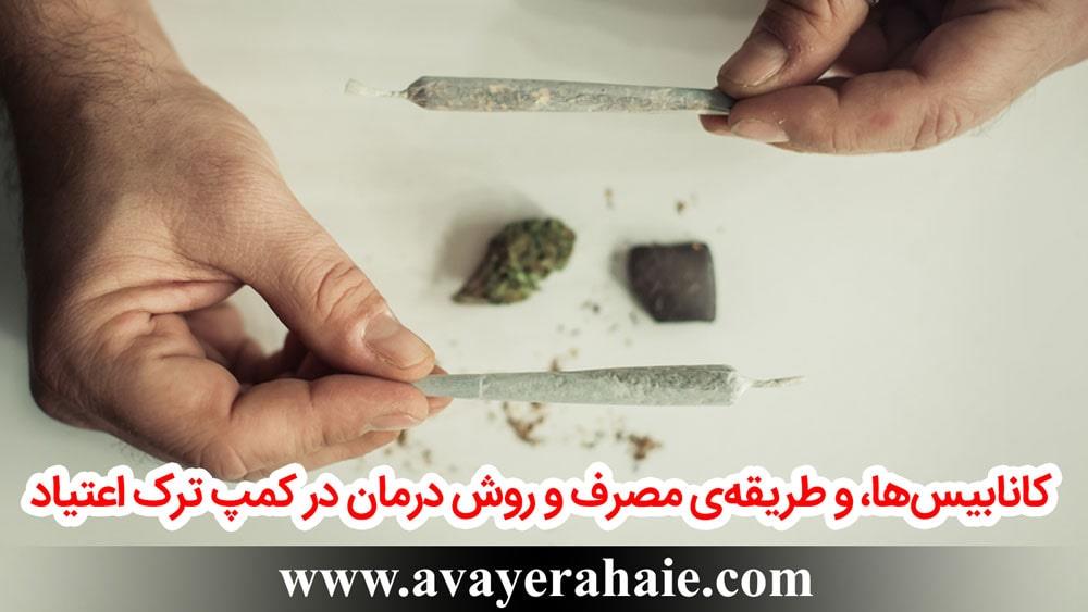کانابیس‌ها، و طریقه‌ی مصرف و روش درمان آنها
