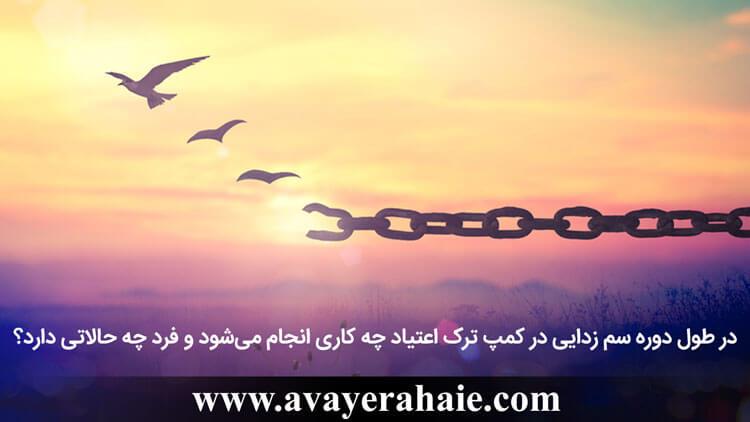در طول دوره سم زدایی چه کاری انجام می‌شود؟
